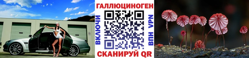 где можно купить Новоалександровск Псилоцибиновые грибы мухоморы