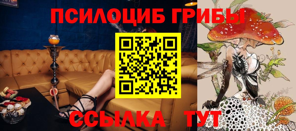 Новоалександровск  Псилоцибиновые грибы мухоморы  Вход с VPN 