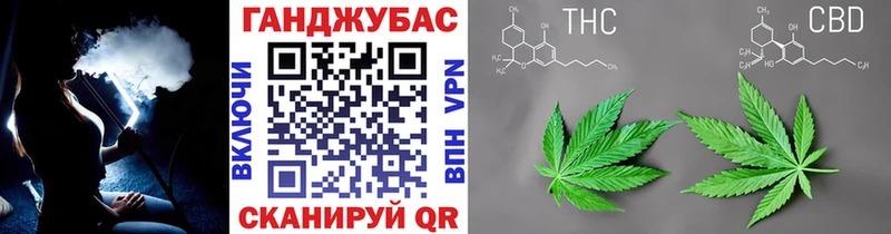 omg   Новоалександровск  Шишки марихуана сатива  shop состав  купить наркоту 